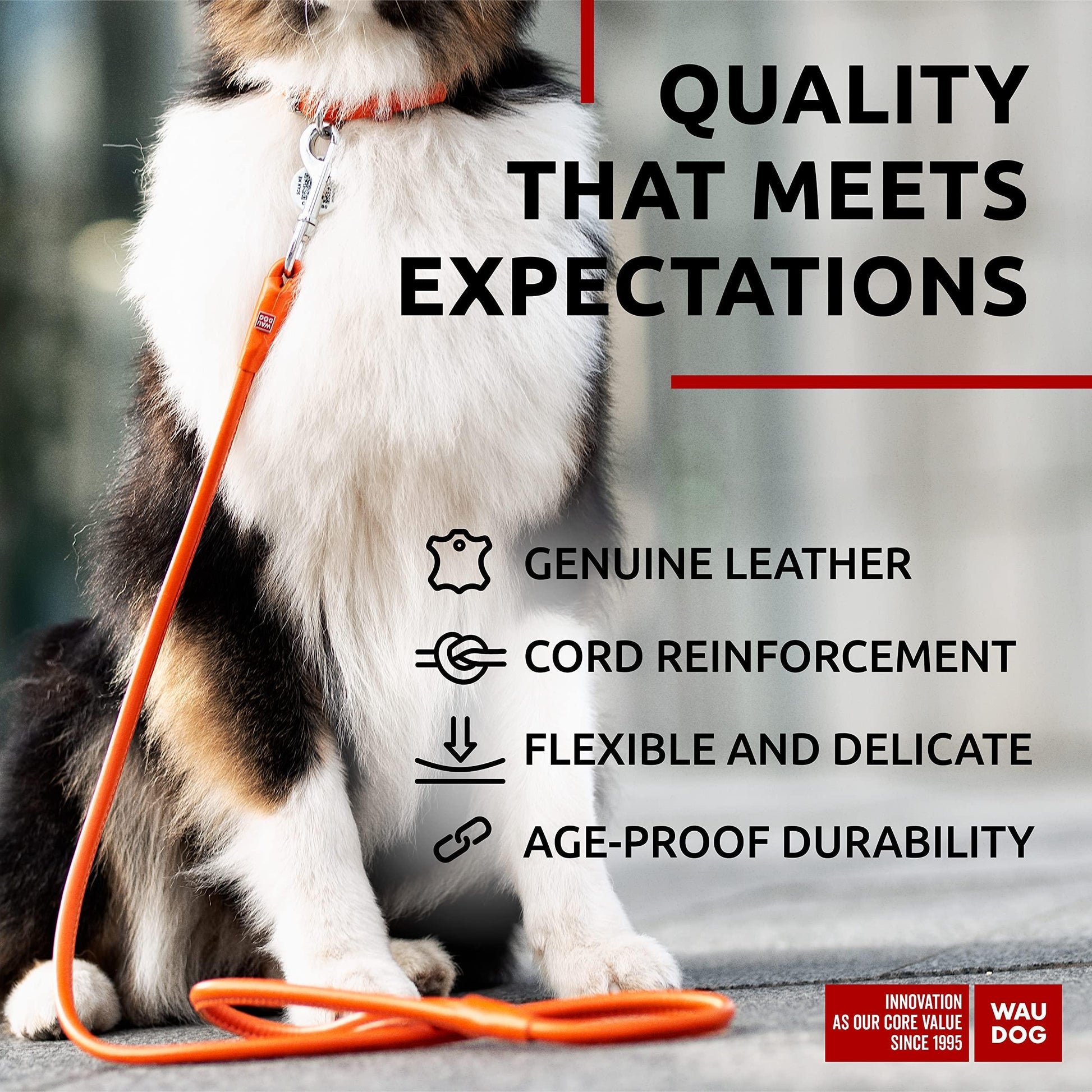 WAUDOG Rolled Leather GLAMOUR Dog Leash 4Ft * 0.5in for Small Medium and Large Dogs (Orange) For Pet With Love