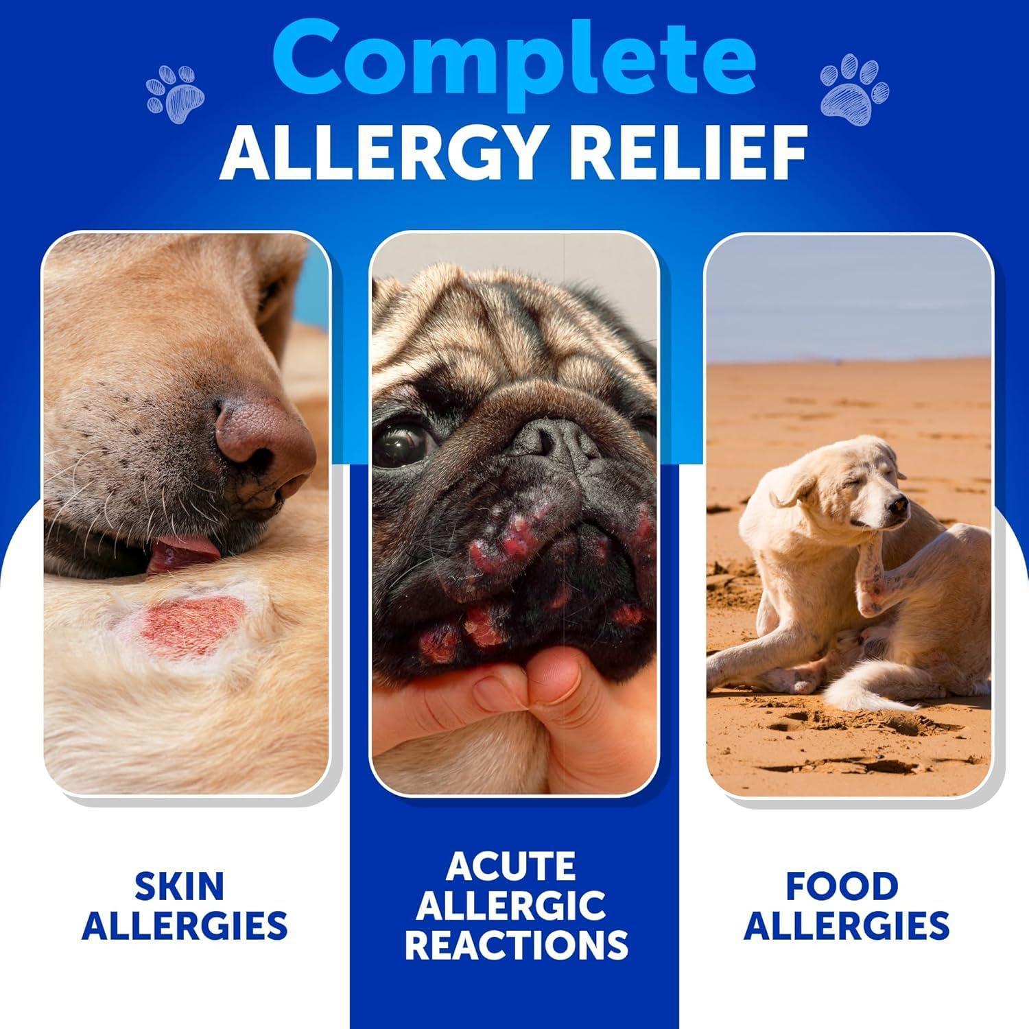 Artullano Dog Itching Skin & Coat Anti Itch, Hot Spots, and Allergy Relief Treatment. Immune Health Supplement for Dogs with Fish Oil and Omega 3. 70 Treats. Duck Flavor. For Pet With Love