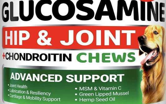 YUMA'S Glucosamine Chondroitin Hip and Joint Pain Relief Supplement with MSM for Dogs. Advanced Health and Mobility Support. Made in USA. 240 Chews For Pet With Love