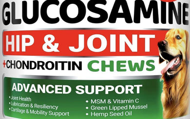 Glucosamine hip and joint chews for dogs with a dog on the label