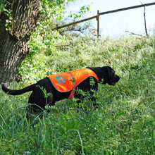 Load image into Gallery viewer, Reflective Dog Vest. Hi Visibility Fluorescent Blaze Orange Dog Vest Helps
