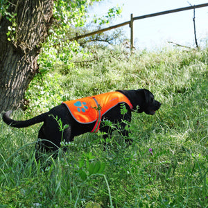 Reflective Dog Vest. Hi Visibility Fluorescent Blaze Orange Dog Vest Helps