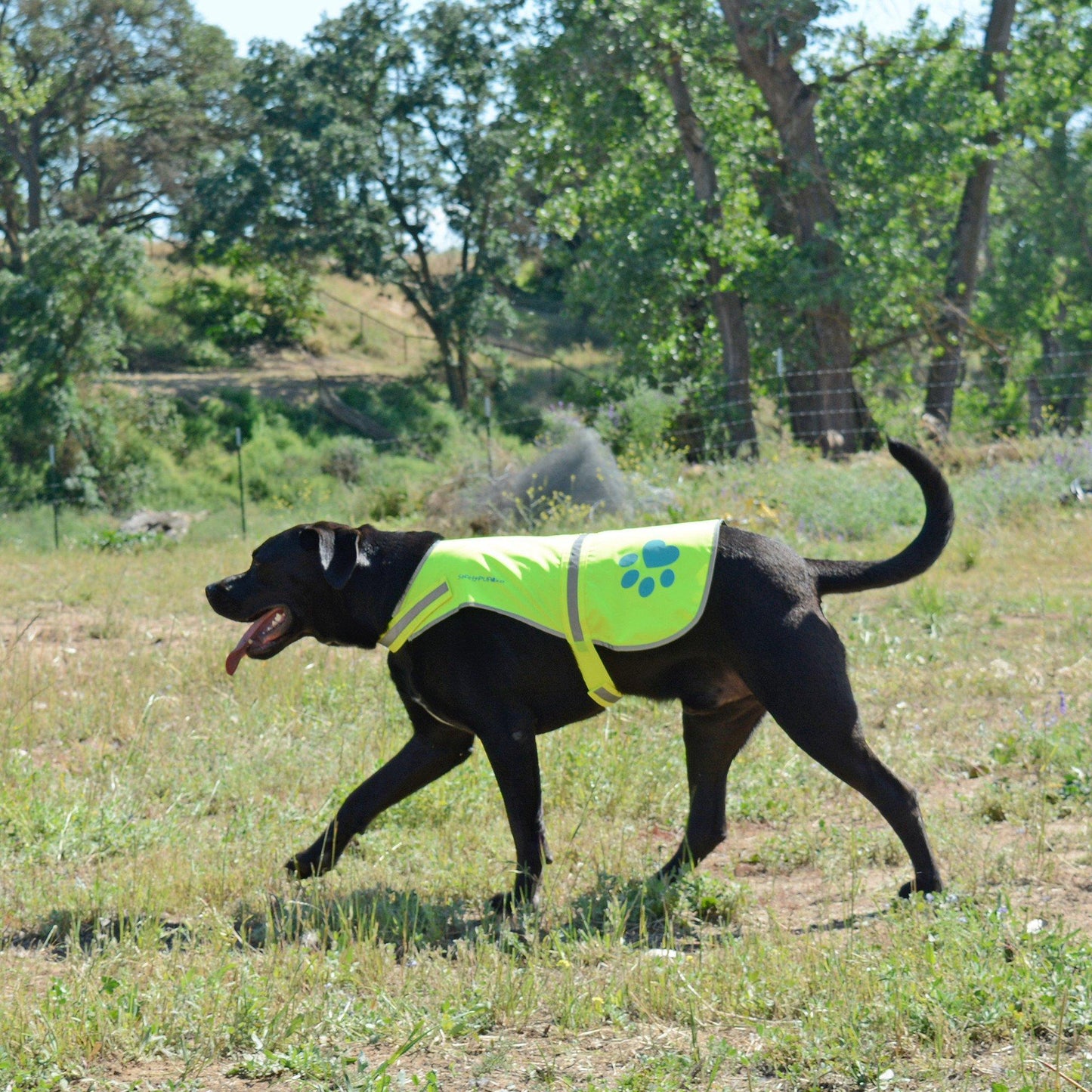 SafetyPUP XD Dog Reflective Vest  Hi Vis Safety Vest  Neon Yellow  XLarge  Fits Dogs 100 lbs  130 lbs For Pet With Love