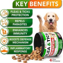 Load image into Gallery viewer, Vet Promise Natural Flea and Tick Prevention Advanced Oral Treats Supplement for Dogs. Made in USA. 119 Chews. Chicken Flavor
