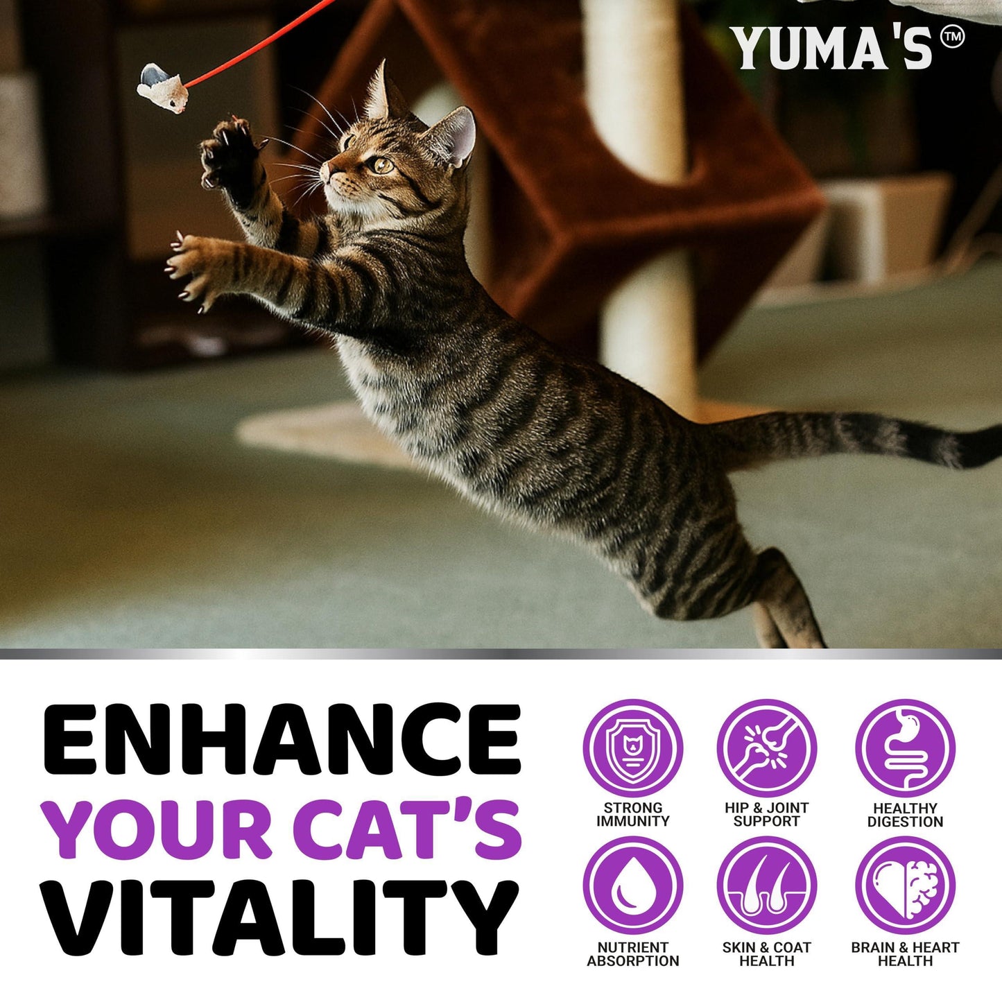 YUMA'S Multivitamin + Immunity Chewable Supplement Treats for Cats. Hip & Joint Support, Immune Health, Skin and Heart Supplement. Digestion Probiotics.