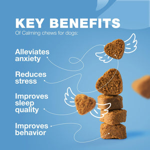Hemp Calming Chews for Dogs   Dog Calming Treats   Anxiety Relief for Dogs   L