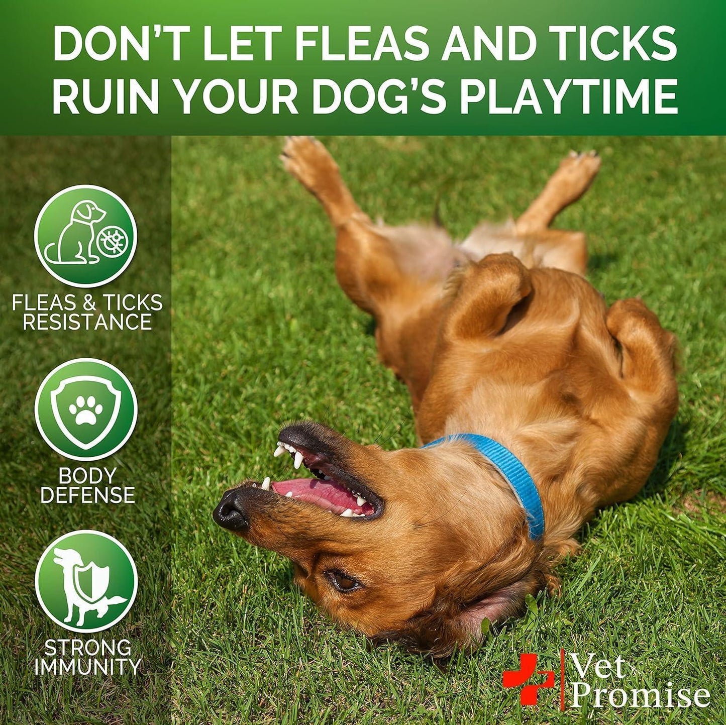 Vet Promise Natural Flea and Tick Prevention Advanced Oral Treats Supplement for Dogs. Made in USA. 119 Chews. Chicken Flavor For Pet With Love