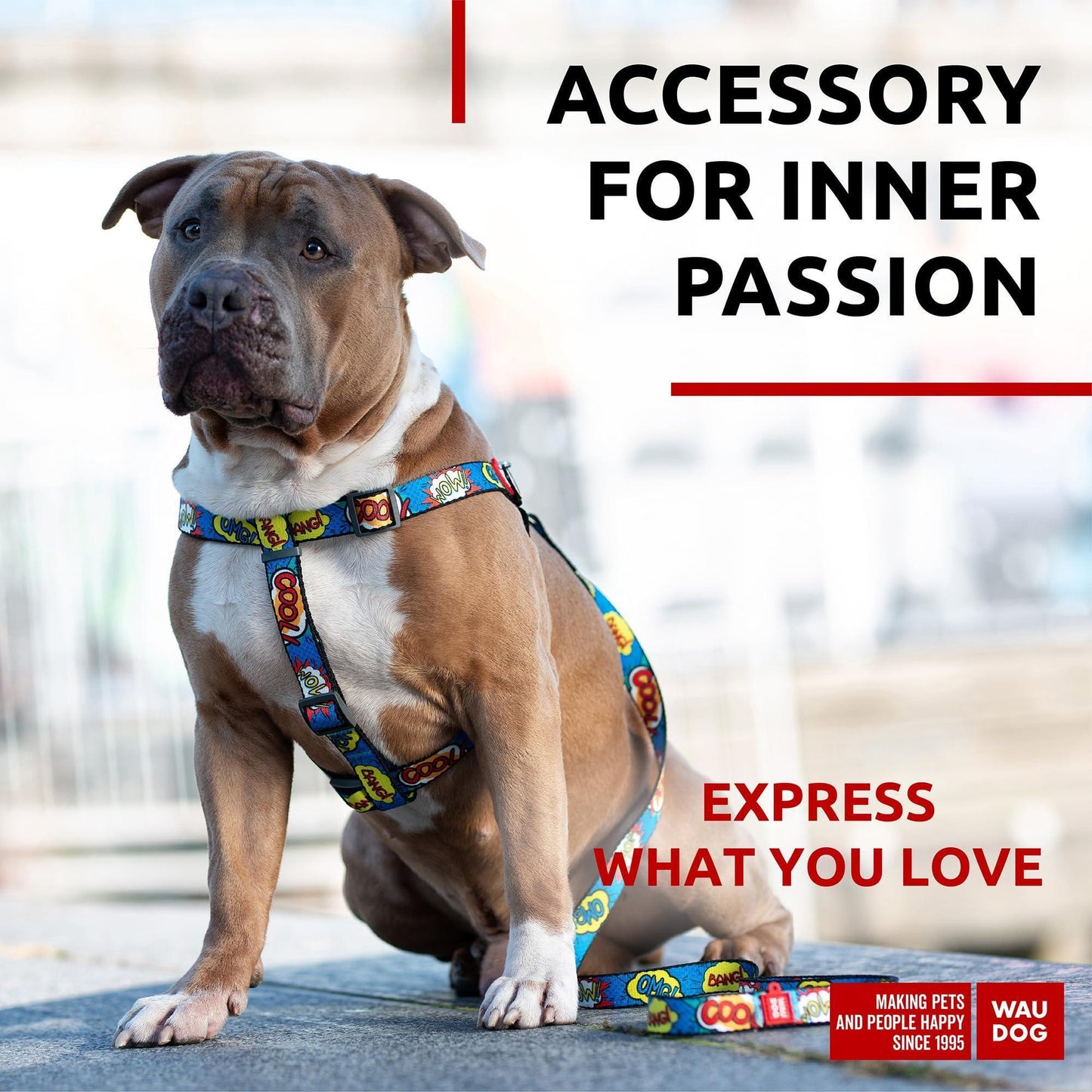 Nylon Dog Leash for Small Dogs and Medium Dogs 4 Ft   Strong Dog Leash for For Pet With Love