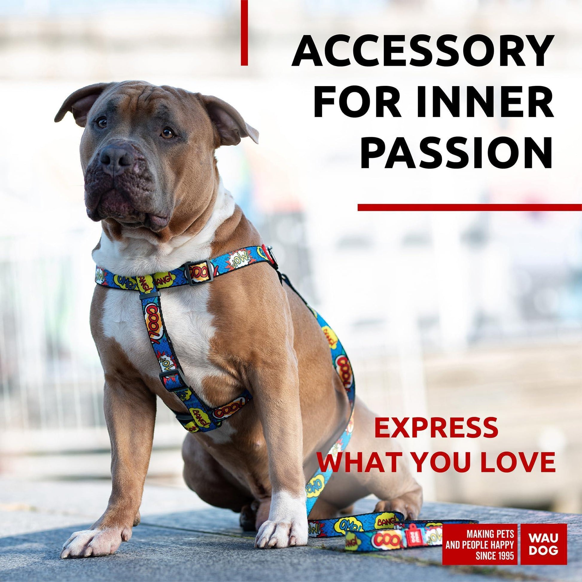 Nylon Dog Leash for Small Dogs and Medium Dogs 4 Ft   Strong Dog Leash for For Pet With Love