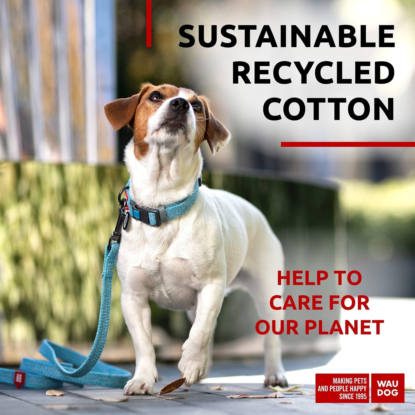 WAUDOG Recycled Cotton Dog Leash 6 Ft   10 Ft Eco Friendly Collar for Small For Pet With Love