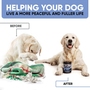 Kinpur Pet Care Calming Chews for Dogs with Hemp Oil  180 Peanut Butter Flavored Chews