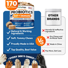 Load image into Gallery viewer, PETSOLOGY Digestive Enzymes &amp; Prebiotics Supplement for Dogs 170 Chews For Pet With Love

