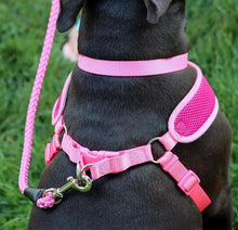 Load image into Gallery viewer, Coastal Pet Comfort Soft Wrap Adjustable Dog Harness Orchid
