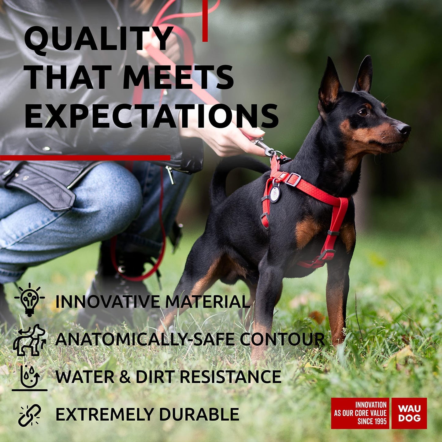 Waterproof Dog Harness   Adjustable Dog Harness for Large Dogs Small and Medium For Pet With Love