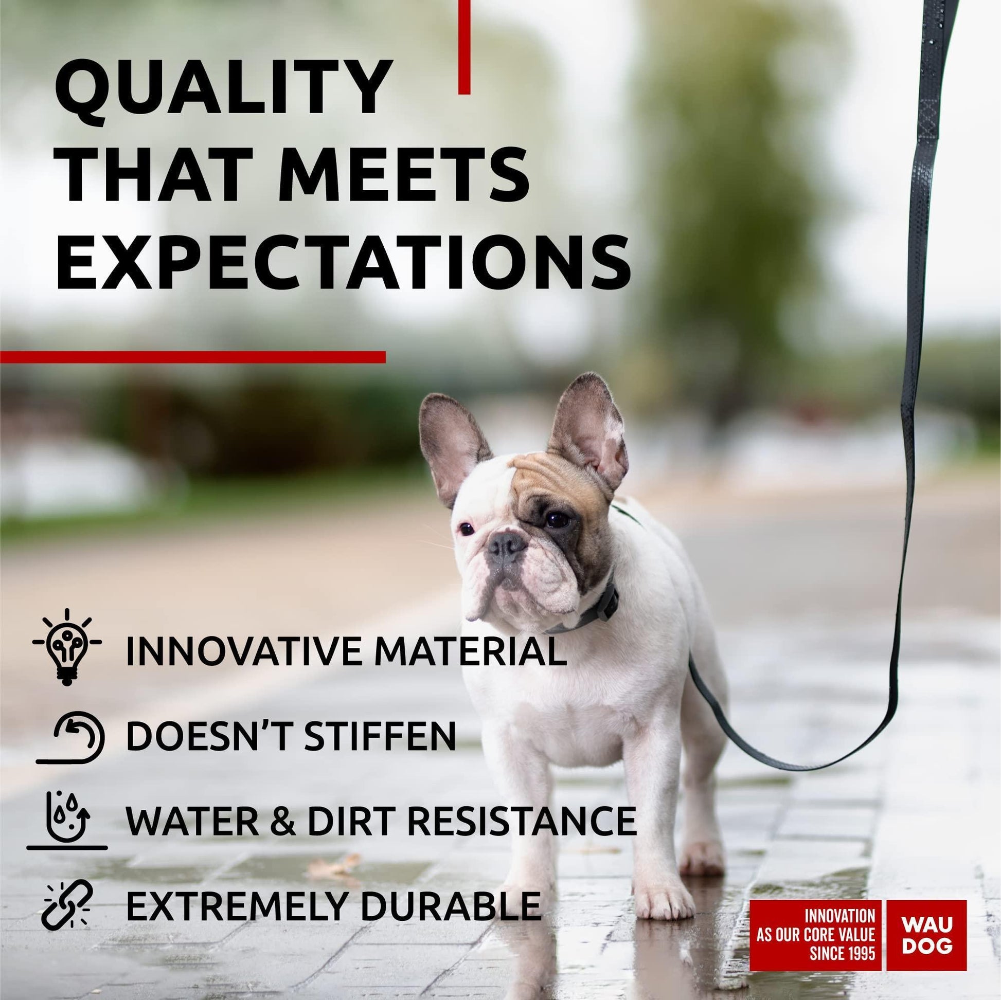 Waterproof Dog Leash 4 Ft   6 Ft   Anti Slip Dog Leash for Large Dogs Small and For Pet With Love