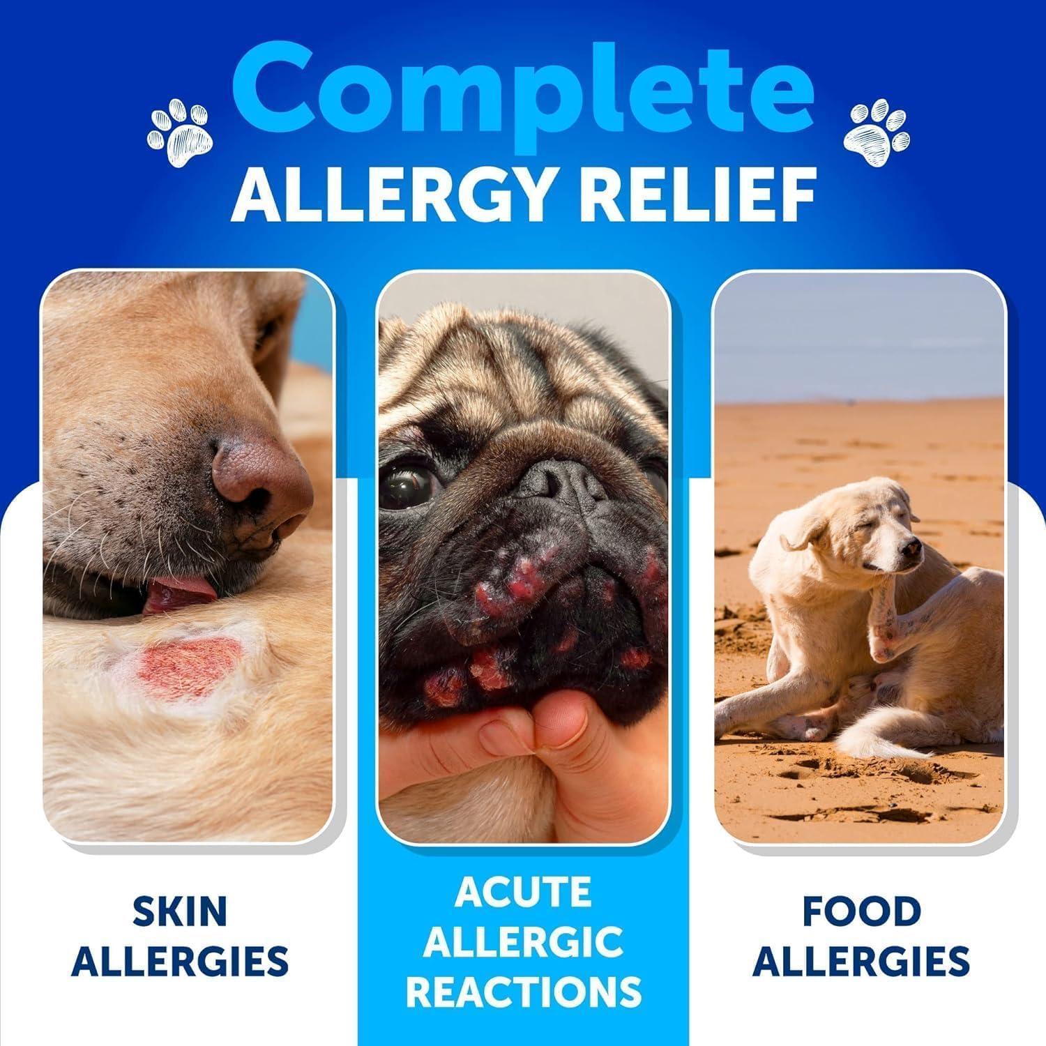 Artullano Canine Immune Health Supplement & Itch Relief for Dogs 120 Chews For Pet With Love