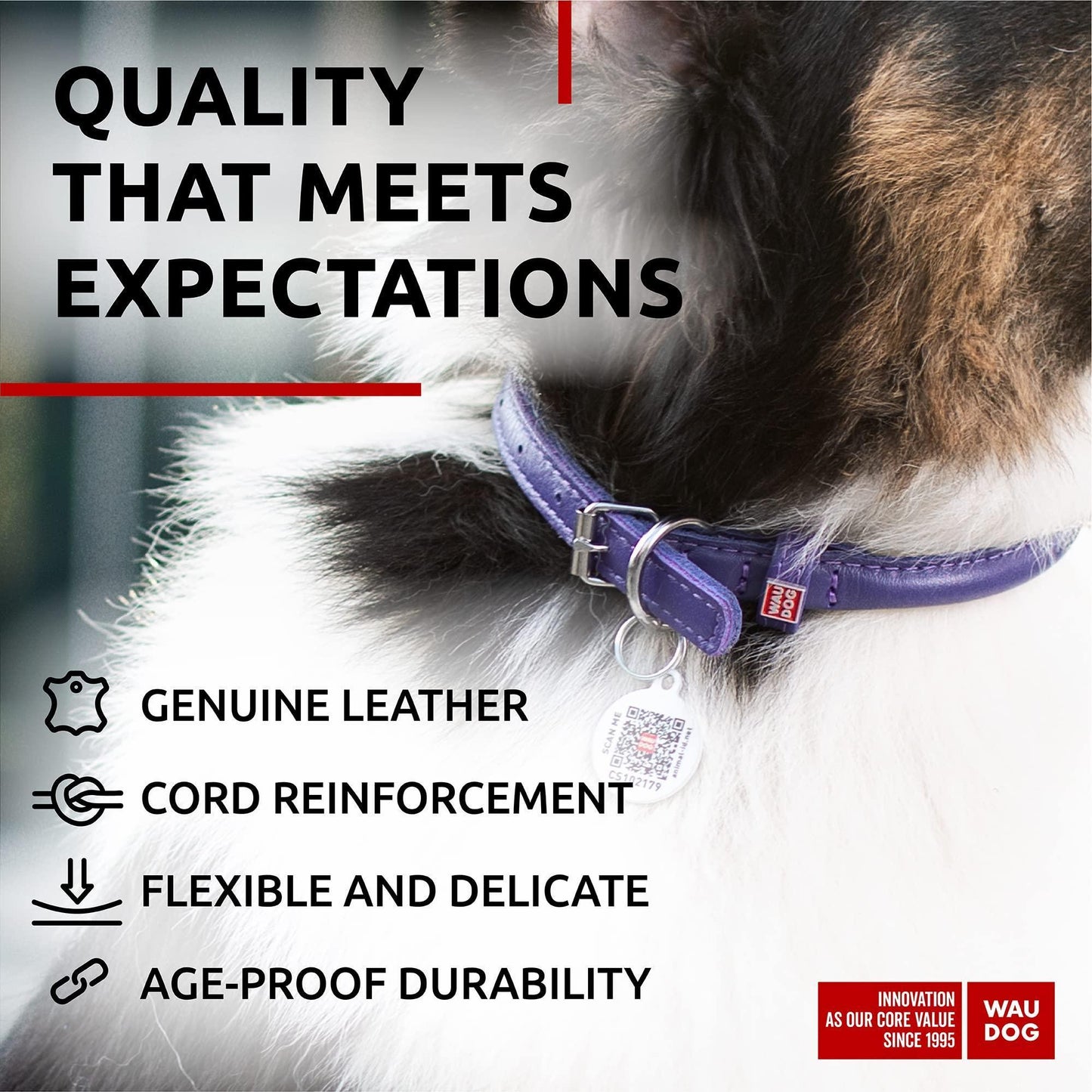 WAUDOG Ultra Soft Rolled Leather Dog Collar for Small Dogs   Soft Padded Dog For Pet With Love