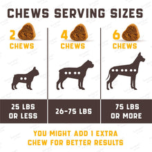 Load image into Gallery viewer, Kinpur Pet Care Dog Multivitamin Supplements Immunity, Digestion, Joint and Heart Health Support 180 Chews
