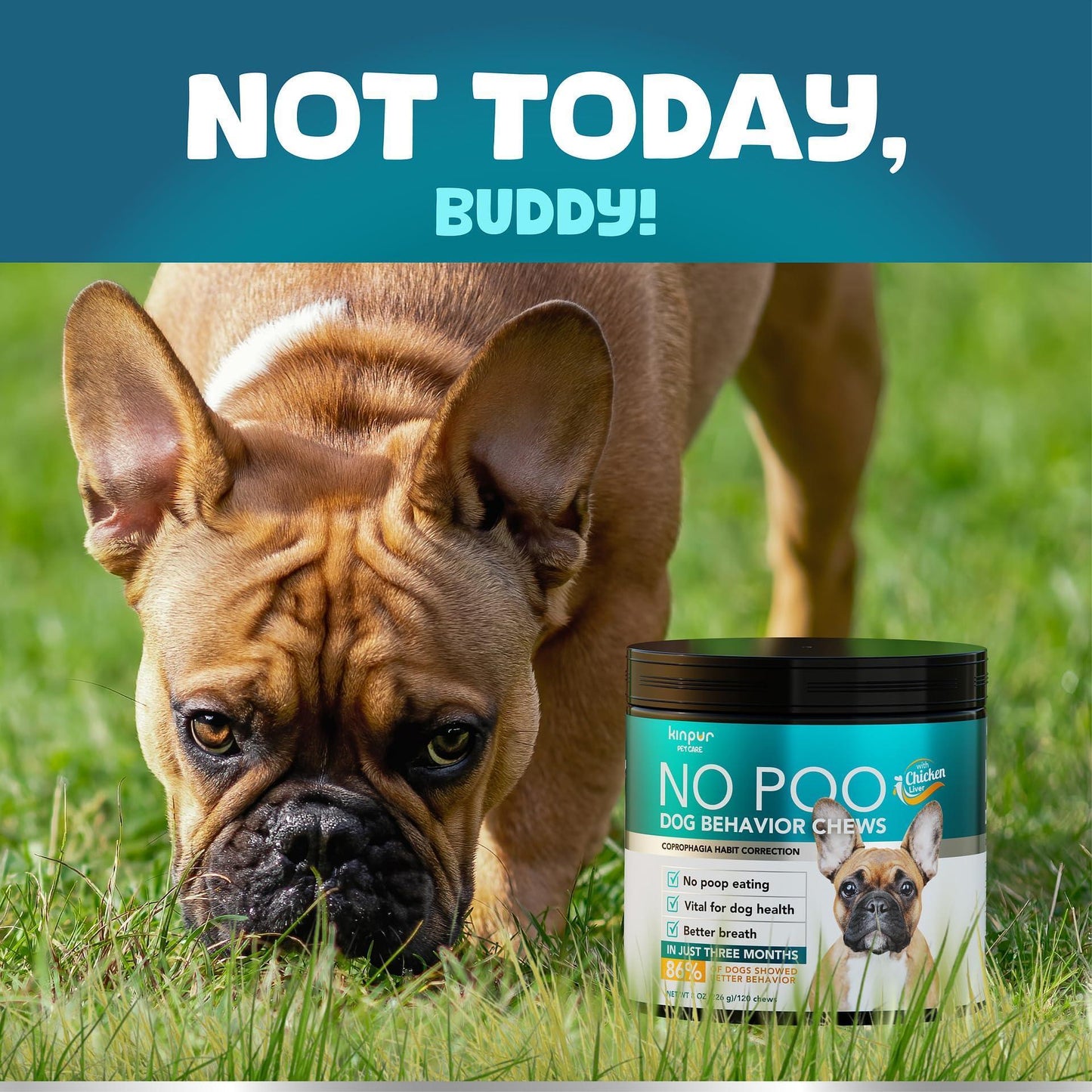 Kinpur Pet Care NO POO Chews for Dogs Probiotics and Digestive Enzymes, Bad Breath Support 180 Soft Chews For Pet With Love