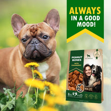 Load image into Gallery viewer, Beloved Pets Peanut Butter Bones with Cranberry Rawhide Free Dog Treats 10.6 Oz
