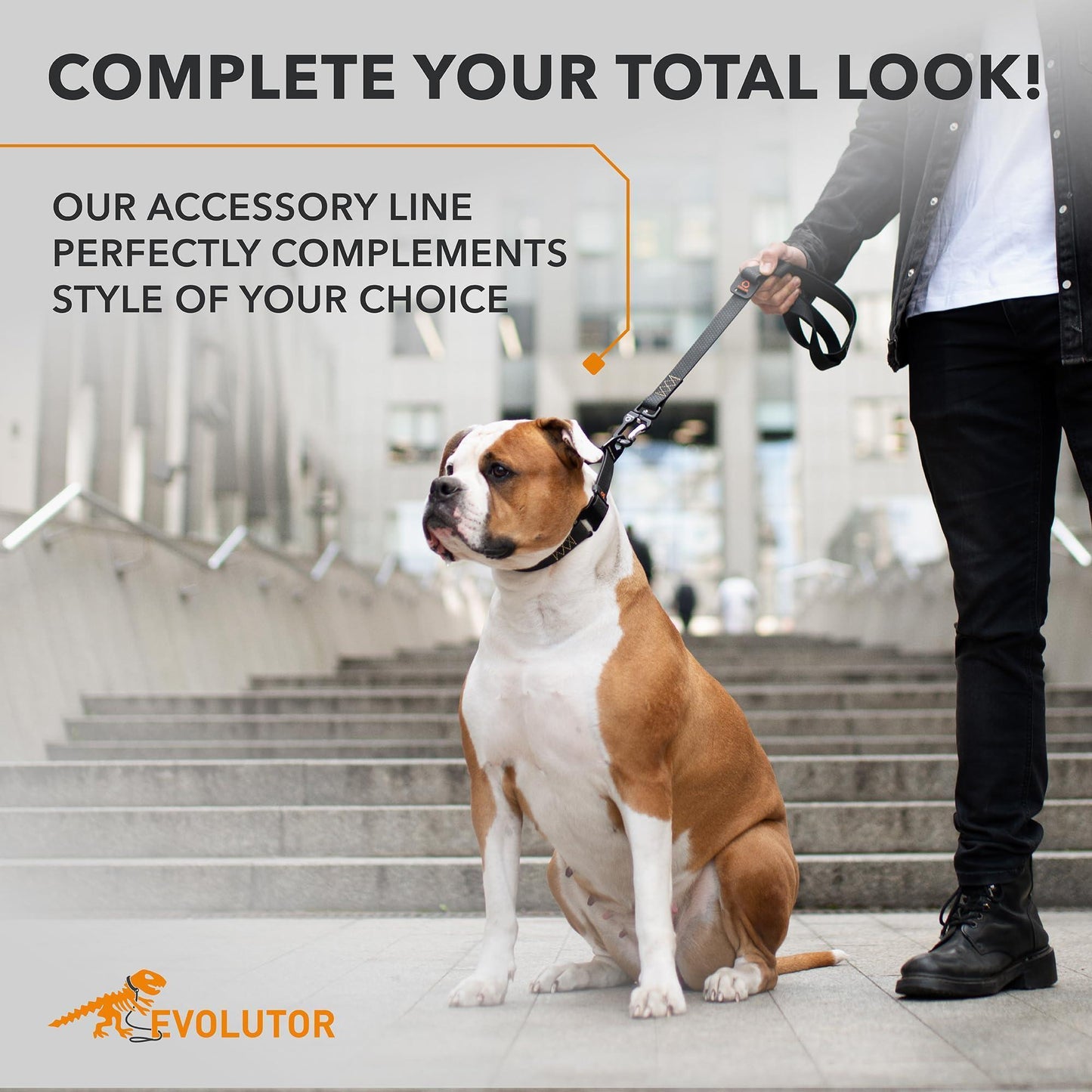 COLLAR Extra Heavy Duty Durable EVOLUTOR Dog Leash 10 Ft (Black) For Pet With Love