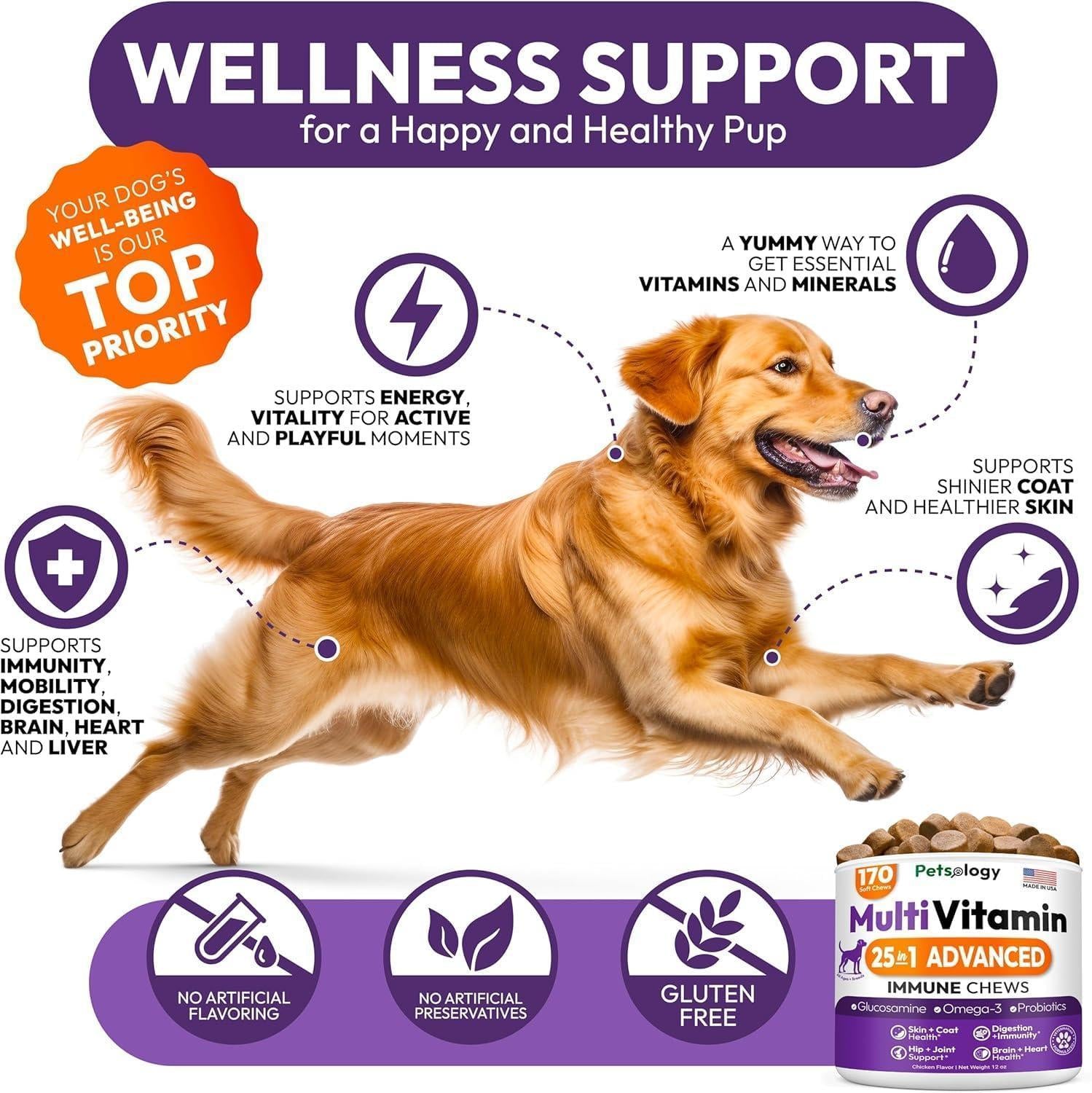 PETSOLOGY Multivitamin Chews for Dogs with Glucosamine, Omega 3 & Probiotics.  (2 Pack) 340 Chews For Pet With Love