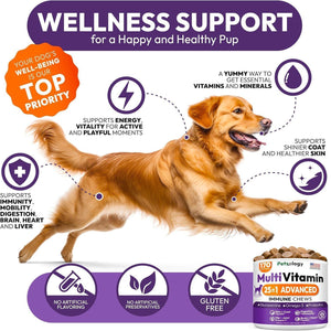 PETSOLOGY Multivitamin Chews for Dogs with Glucosamine, Omega 3 & Probiotics.  (2 Pack) 340 Chews