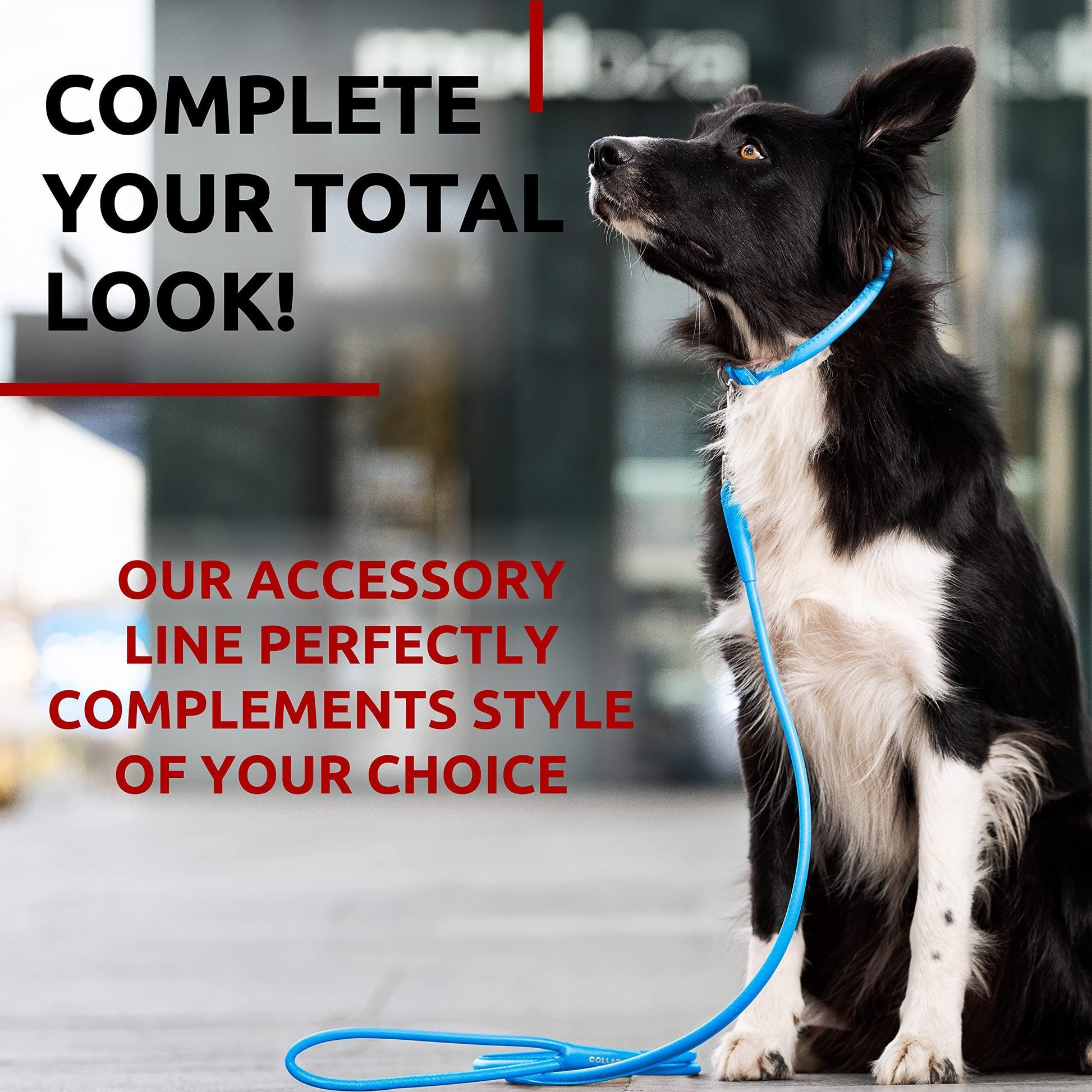 WAUDOG Rolled Leather GLAMOUR Dog Leash 4Ft * 0.4in for Small Medium and Large Dogs (Blue) For Pet With Love