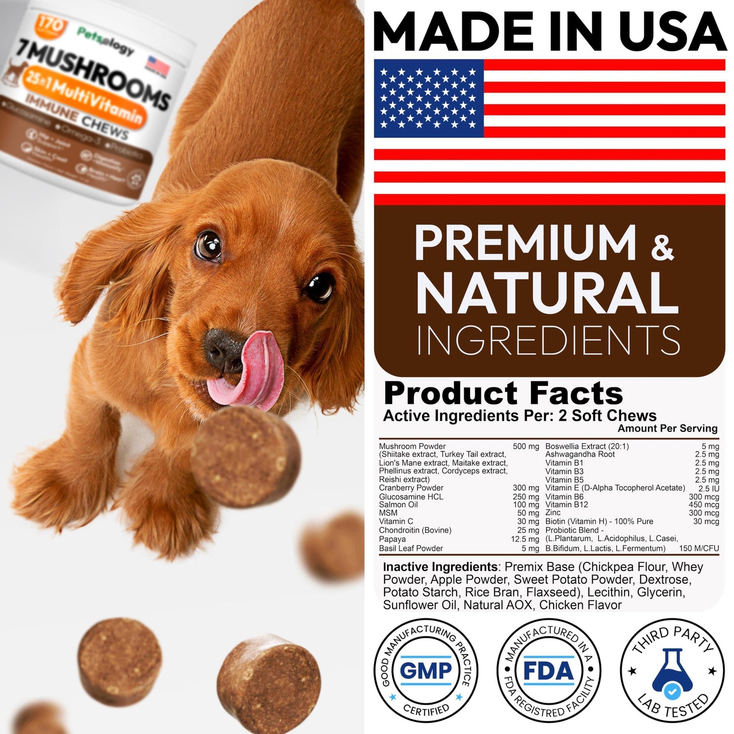 PETSOLOGY Mushroom Multivitamin Supplement for Dogs with Glucosamine, Omega 3 and Probiotics. 170 Chews For Pet With Love