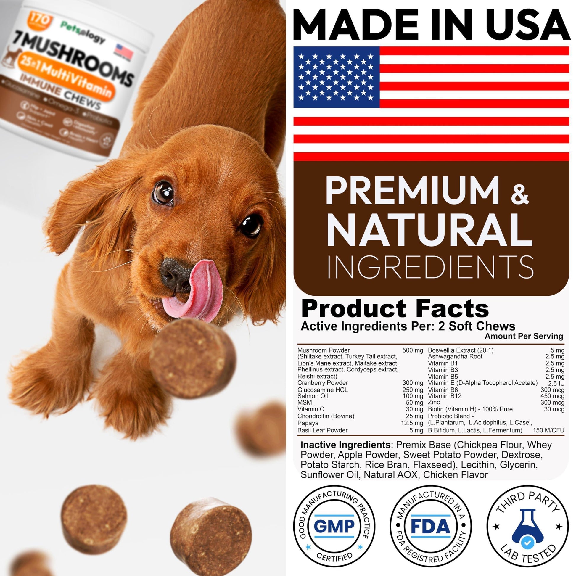 PETSOLOGY Mushroom Multivitamin Supplement for Dogs with Glucosamine, Omega 3 and Probiotics. 170 Chews For Pet With Love