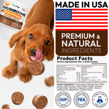 Load image into Gallery viewer, PETSOLOGY Mushroom Multivitamin Supplement for Dogs with Glucosamine, Omega 3 and Probiotics. 170 Chews

