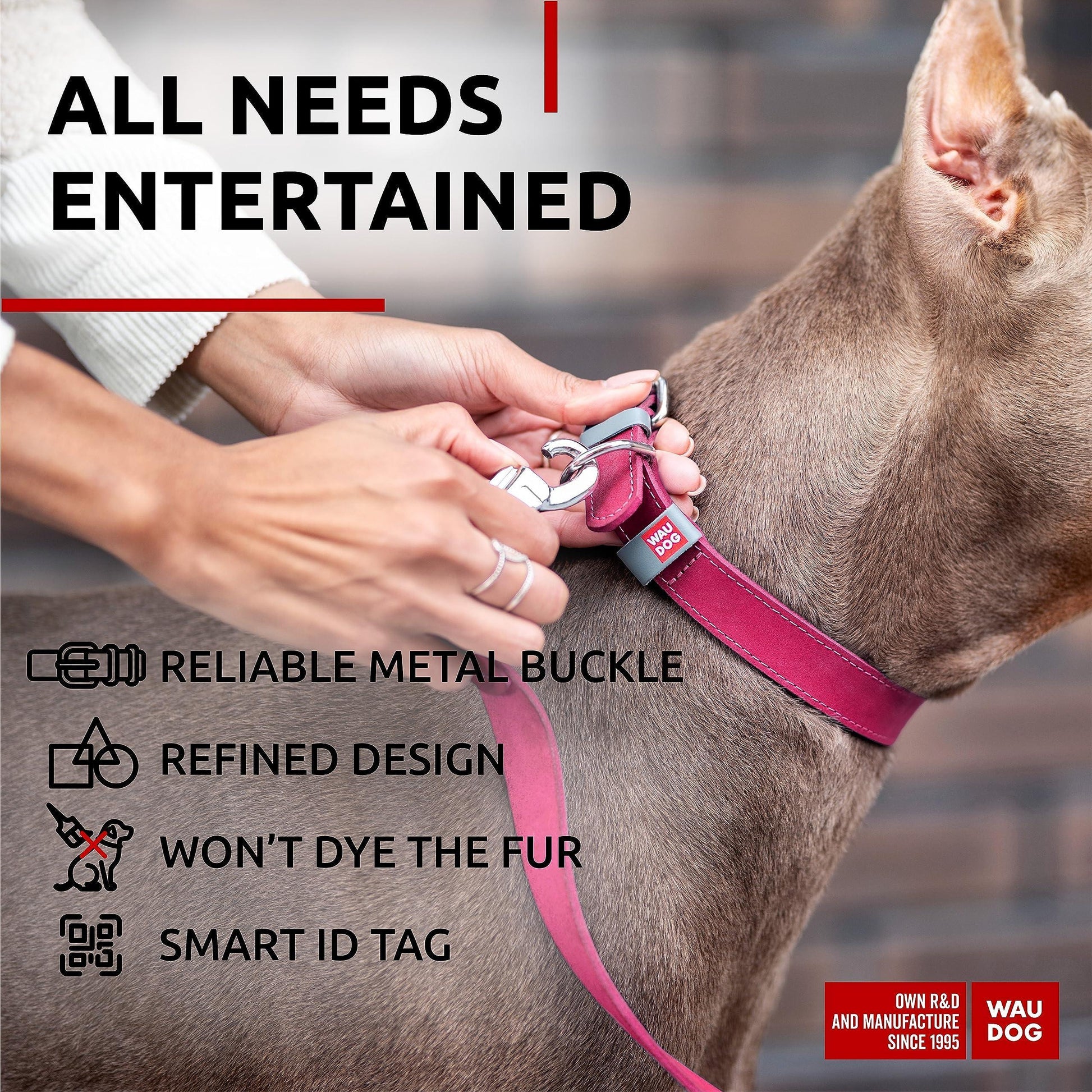 WAUDOG Adjustable Long Lasting Leather Dog Collar with Durable Buckle D Ring & QR Dog Tag. LARGE. Pink For Pet With Love