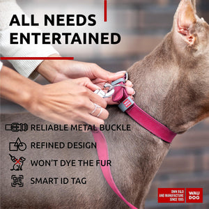Long Lasting Leather Dog Collar for Large Dogs Medium & Small Dogs   Adjustable