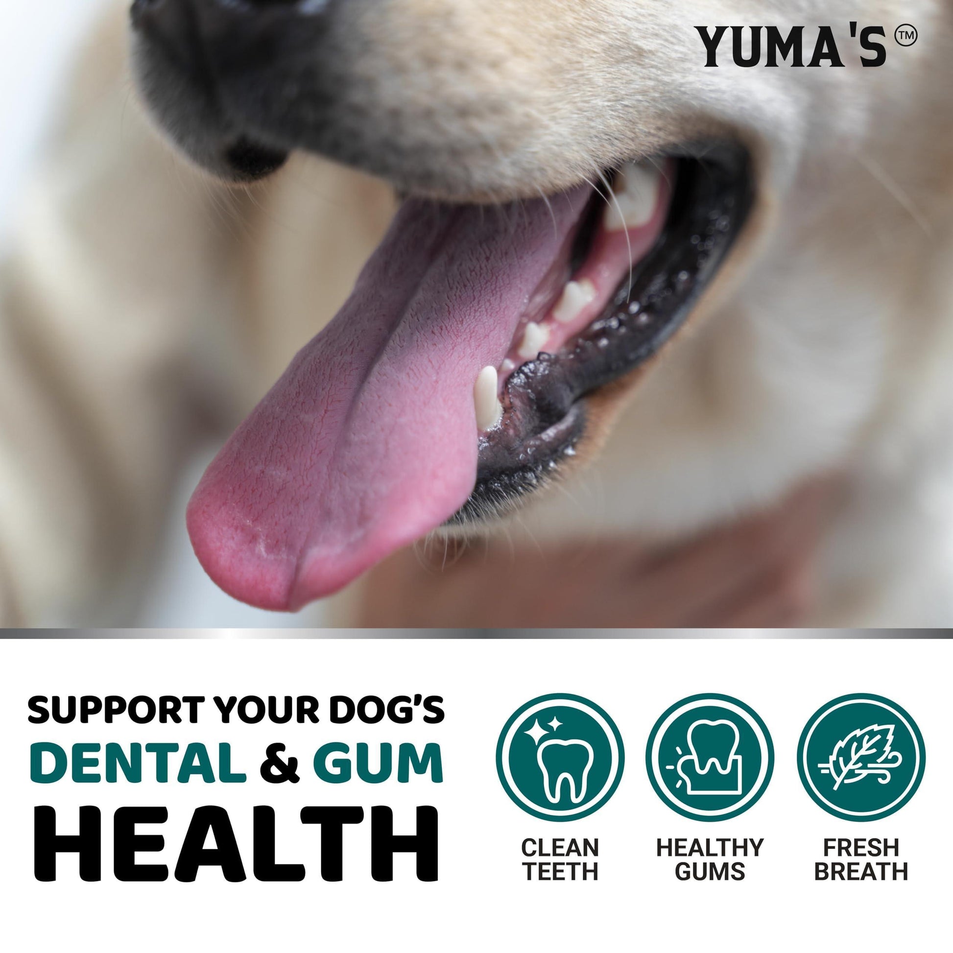 YUMA'S Dog Breath Freshener Teeth Cleaning Dental Powder. Tartar and Plaque Controlr for Dogs with Probiotics, Multivitamin Blend Pet Oral Care Vitamins, and Supplements. 60 Scoops For Pet With Love