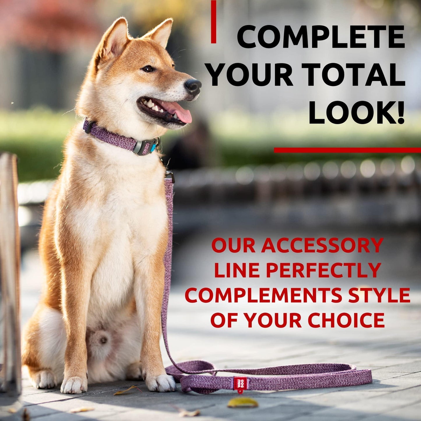 WAUDOG Recycled Cotton Dog Leash 6 Ft   10 Ft Eco Friendly Collar for Small For Pet With Love