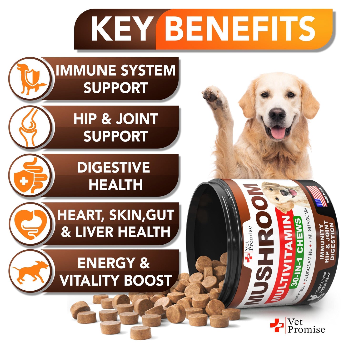 Vet Promise Mushroom Multivitamin Supplement for Dogs for Dogs. Turkey Tail Mushroom, Lions Mane, Reishi Immunity Support, Joint Health, Energy, Gut, Skin Health Support. (2 Pack. 340 Chews) For Pet With Love