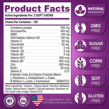 Load image into Gallery viewer, Vet Promise Dog Multivitamin Chewable Supplements with Glucosamine 240 Chews
