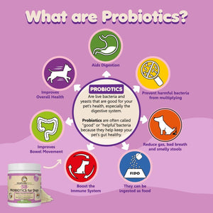 Makondo Pets Powder Probiotics and Digestive Enzymes for Dogs 3.2 Oz