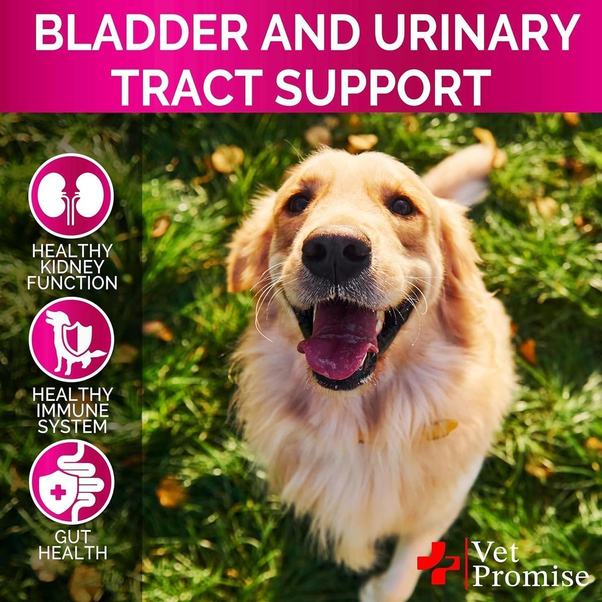 Vet Promise Cranberry UTI Treatment Bladder Control for Dogs 120 Chews For Pet With Love
