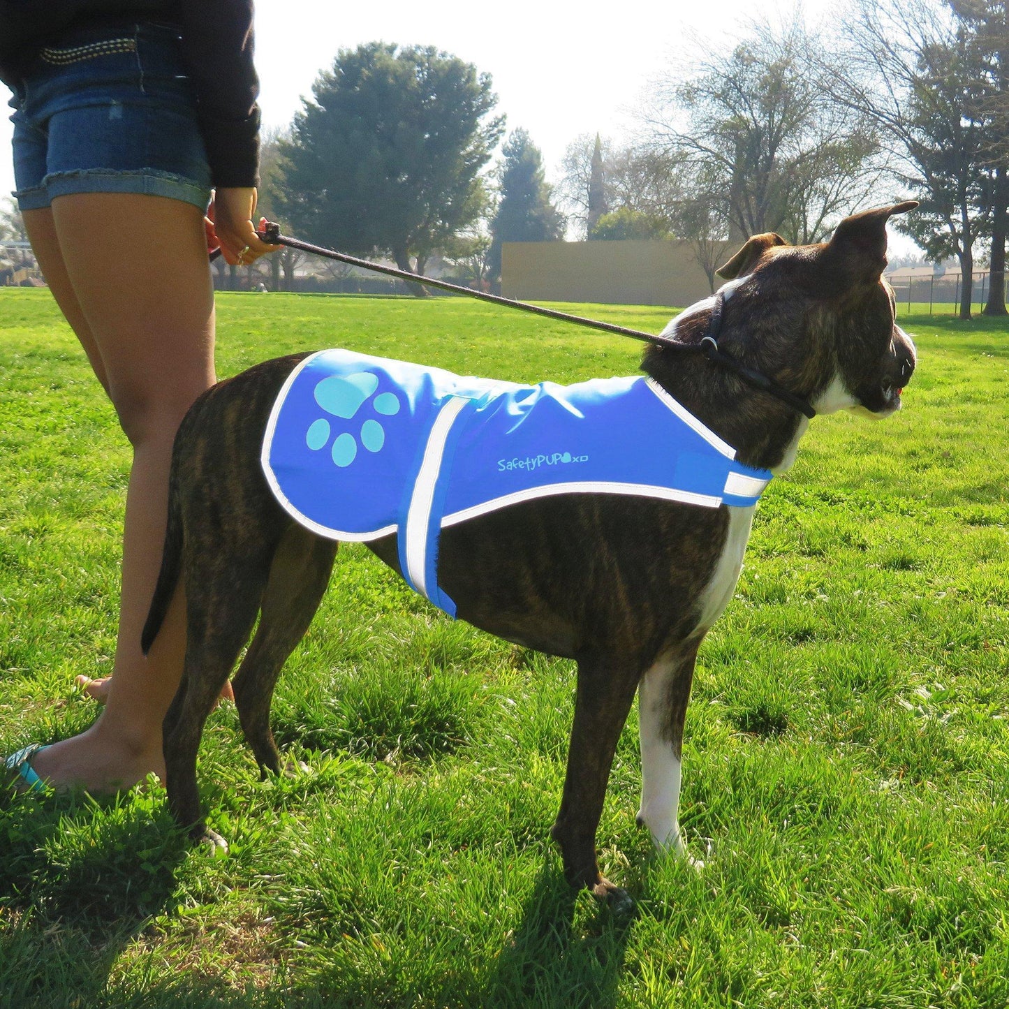 SafetyPUP XD Reflective HiVis Blue Fluorescent Dog Safety Vest (X-LARGE) For Pet With Love