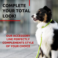 Load image into Gallery viewer, WAUDOG Rolled Leather GLAMOUR Dog Leash 4Ft * 0.5in for Small Medium and Large Dogs (Green)

