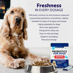 Probiotic Powder for Dogs - Supports Gut Health, Itchy Skin Allergies, Immunity