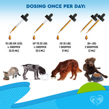 Load image into Gallery viewer, Kennel Cough Treatment and Natural Infection Medicine for Dogs and Cats
