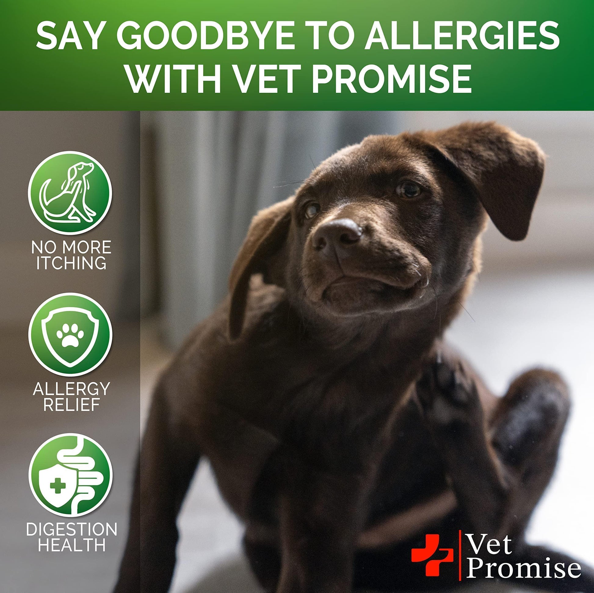 Vet Promise Allergy Itch Relief Immune Support Skin & Coat Health Supplement for Dogs. Made in USA.  120 Treats For Pet With Love