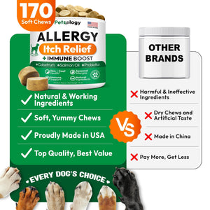 Dog Allergy Relief Chews   170 Dog Allergy Chews   Itch Relief for Dogs   Omega