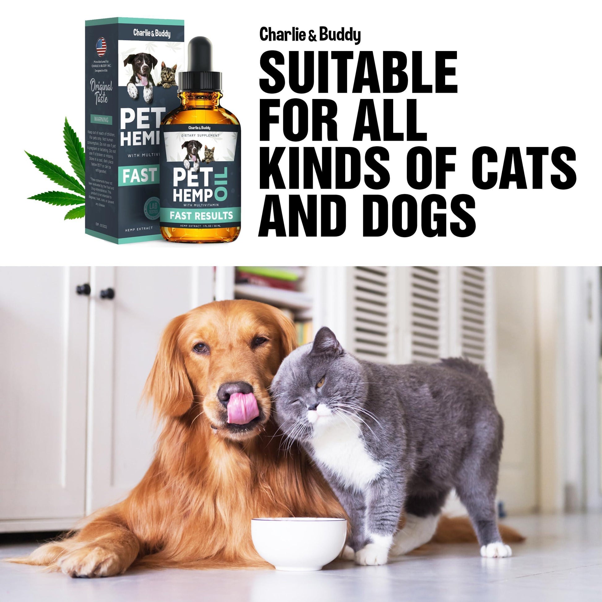 Charlie & Buddy Hemp Oil for Dogs and Cats Helps Pets with Anxiety, Pain, Stress, Sleep, Arthritis, Seizures Relief, Joint Health, Calming For Pet With Love