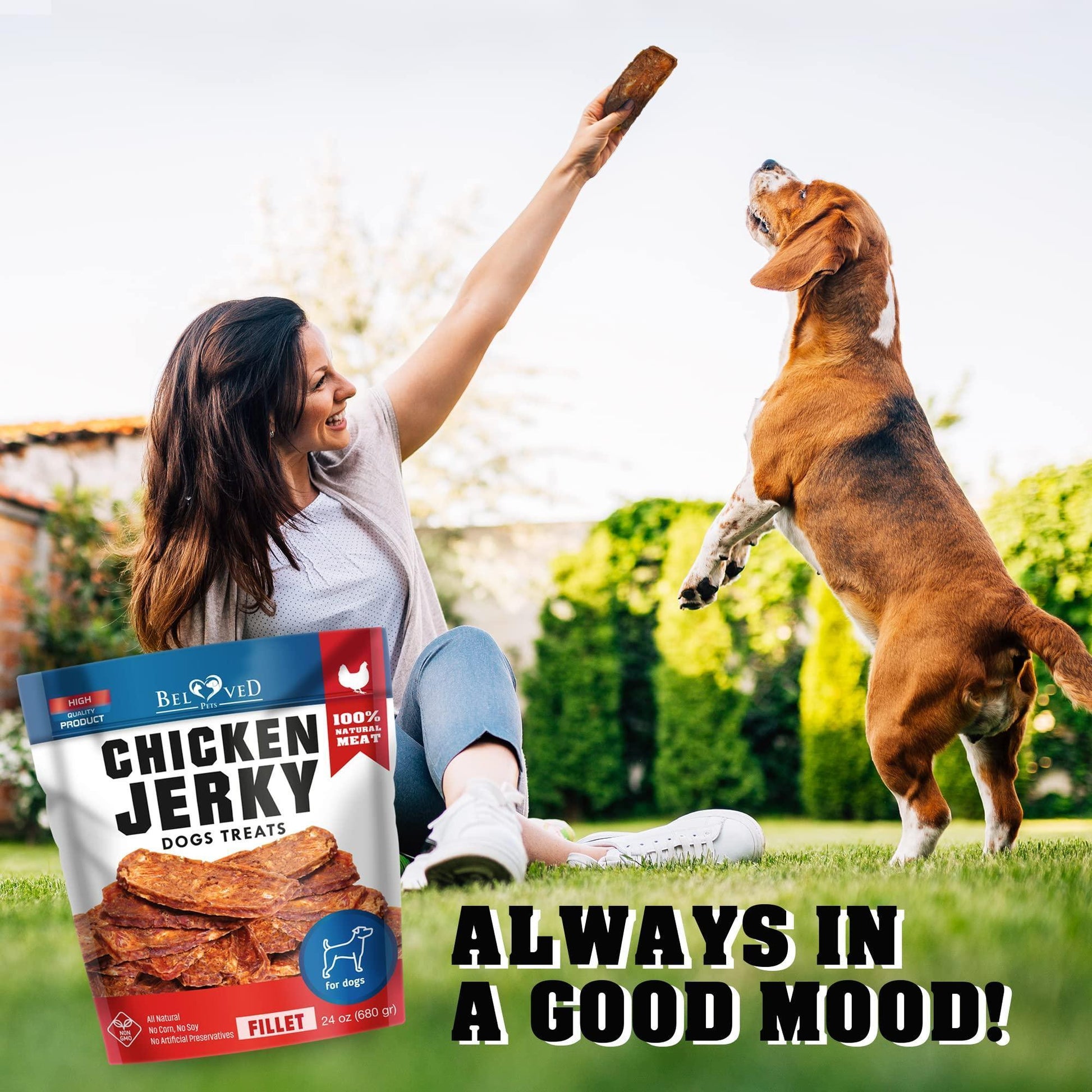 Beloved Pets All Natural High Protein Chicken Jerky Dog Treats 1.5 Lb For Pet With Love