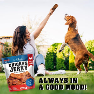 Beloved Pets All Natural High Protein Chicken Jerky Dog Treats 1.5 Lb