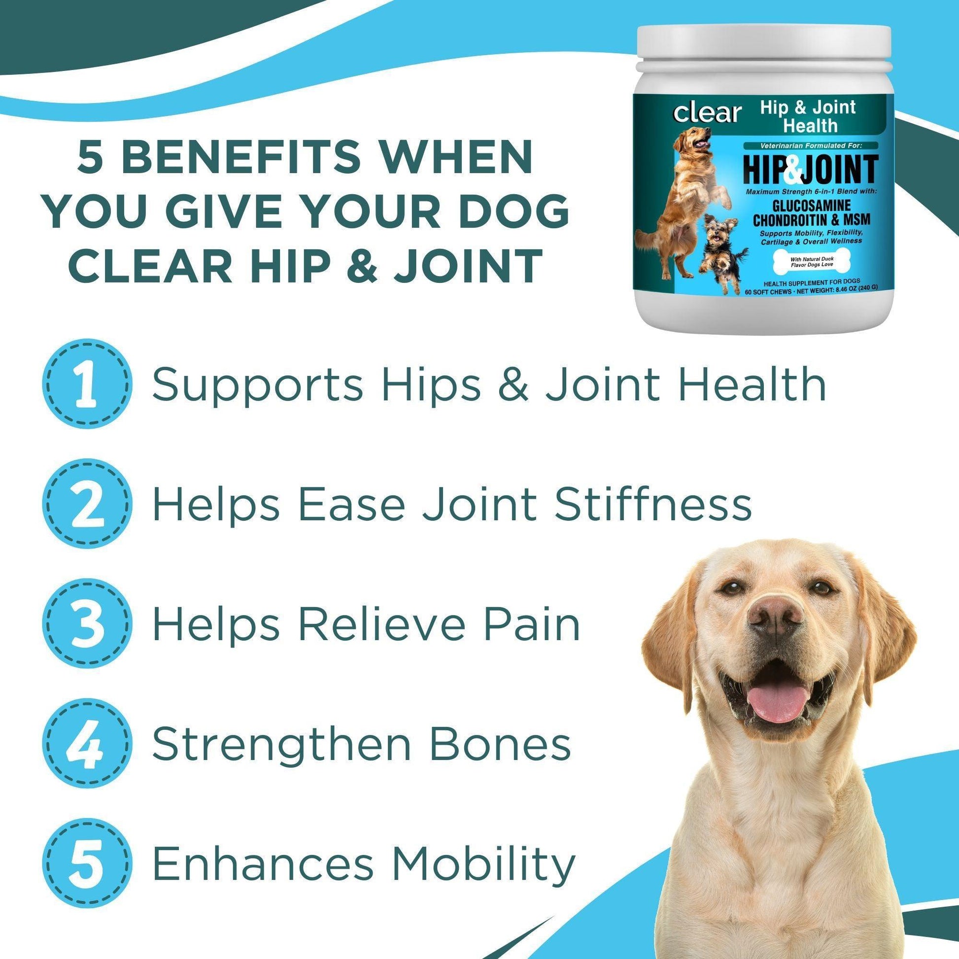 Clear Probiotics Hip & Joint Support Supplement for Dogs * 60 Count For Pet With Love