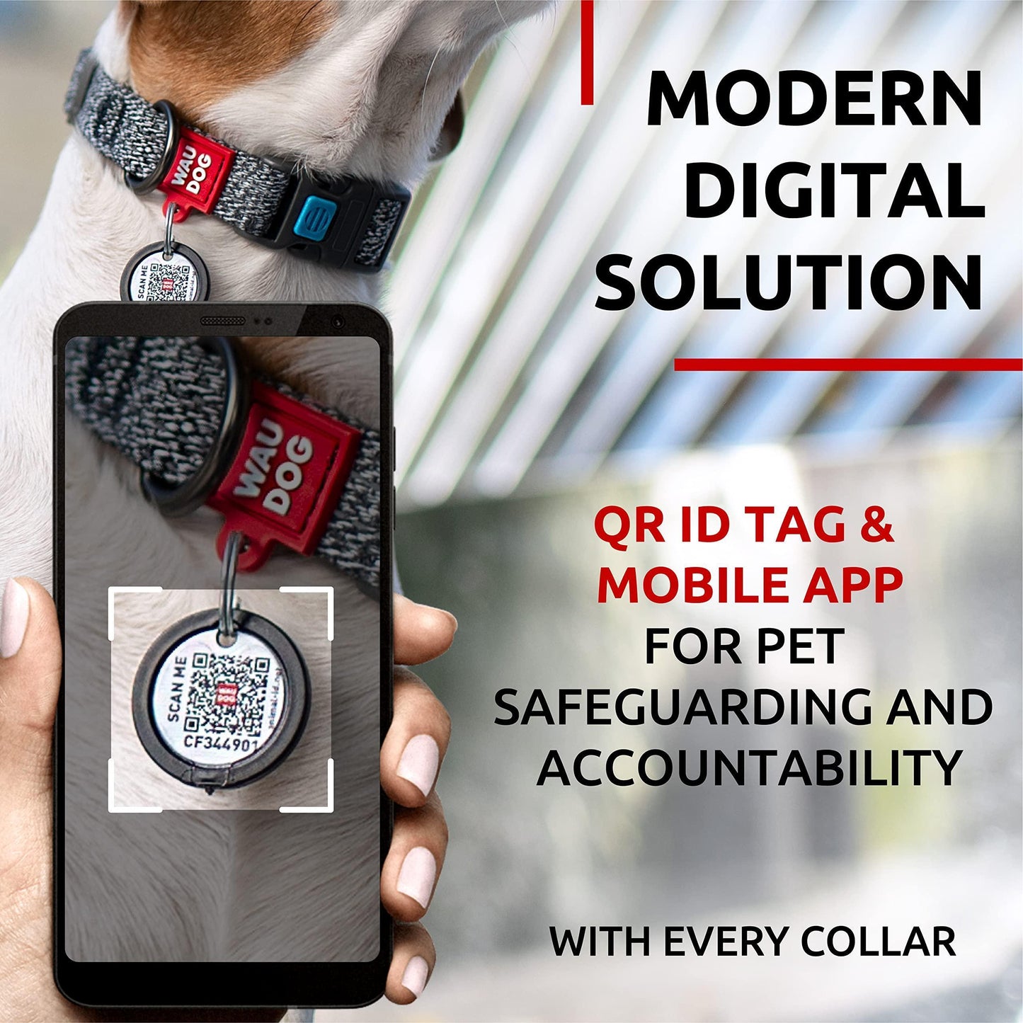 WAUDOG Reflective Cotton Dog Collar with QR ID Tag. Adjustable Eco Friendly Alternative to Nylon Collar. SMALL. Gray. For Pet With Love
